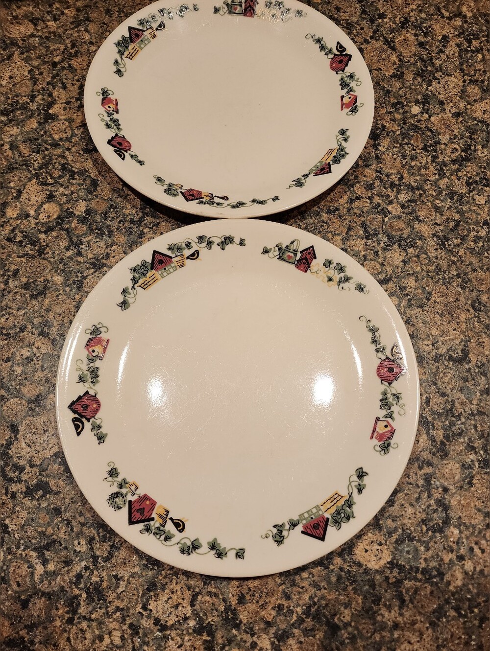 Corelle Garden Home 8 3/4" Luncheon Plate, Set Of 2